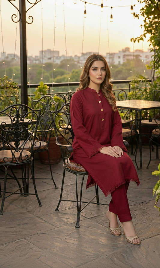 Maroon Elegant Dress